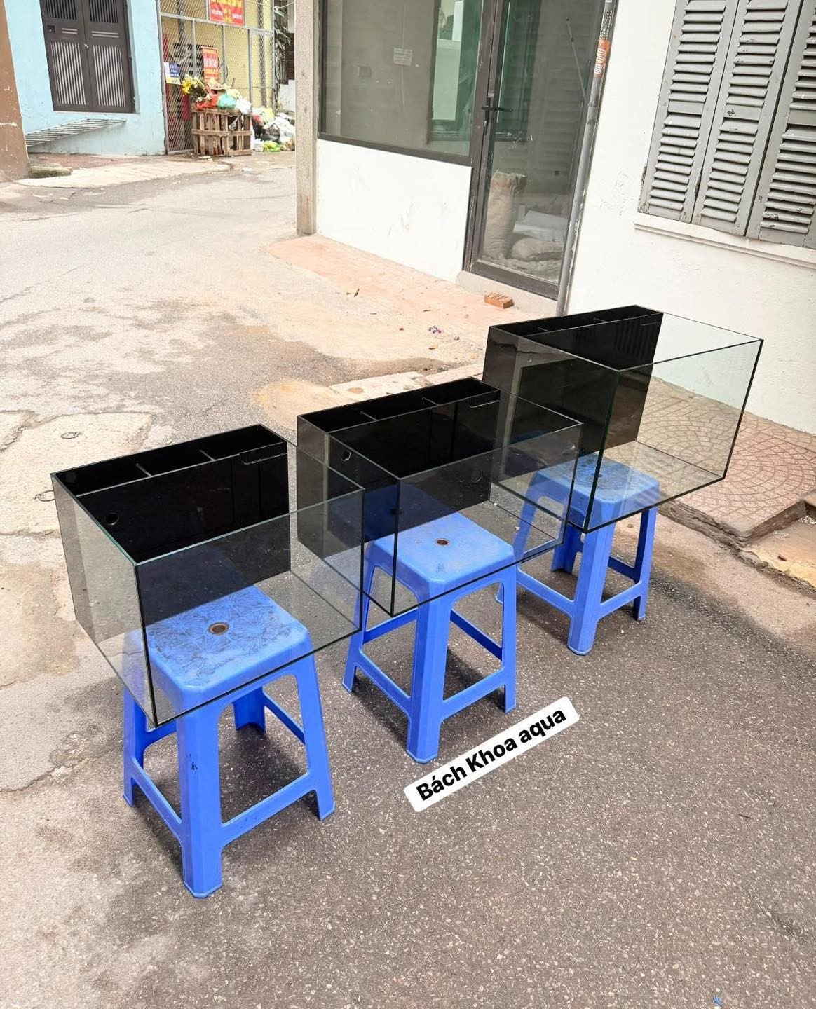 Bể lọc vách sẵn 40-50-60cm kính thường